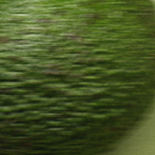 Textured blurred image of avocado that contains carnitine