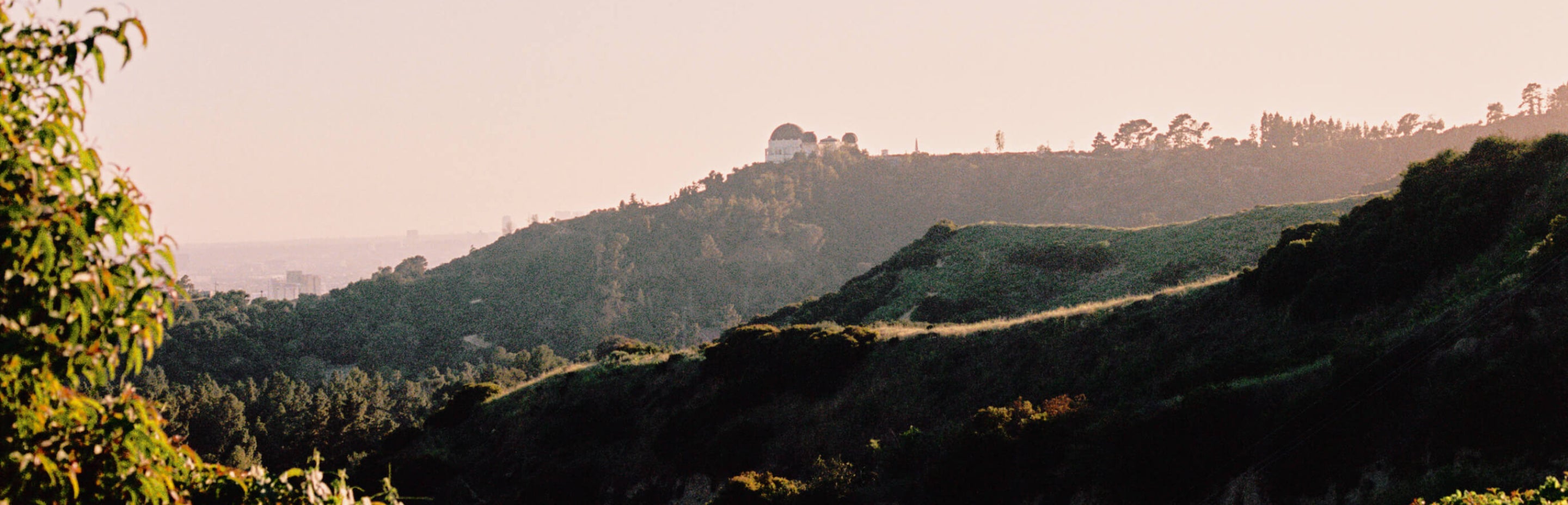 Ambient photo of Griffith Observatory Park in Los Angeles at sunset