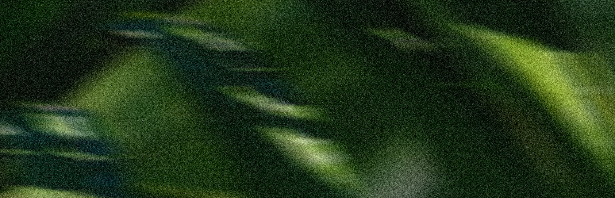 Textured blurry photo of leaves